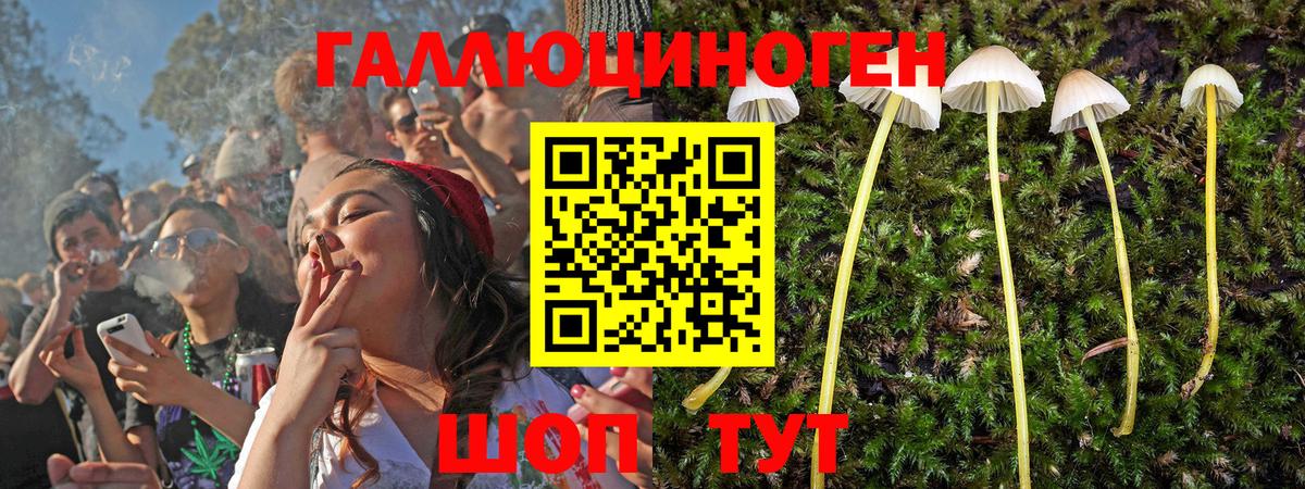 Абакан  Псилоцибиновые грибы MAGIC MUSHROOMS  Вход с VPN 